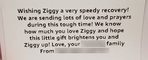 Get well card from work ahead of Ziggy's amputation, October 2020.
