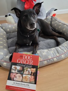 Cookie posing with my copy of Dog Cancer Survival Guide