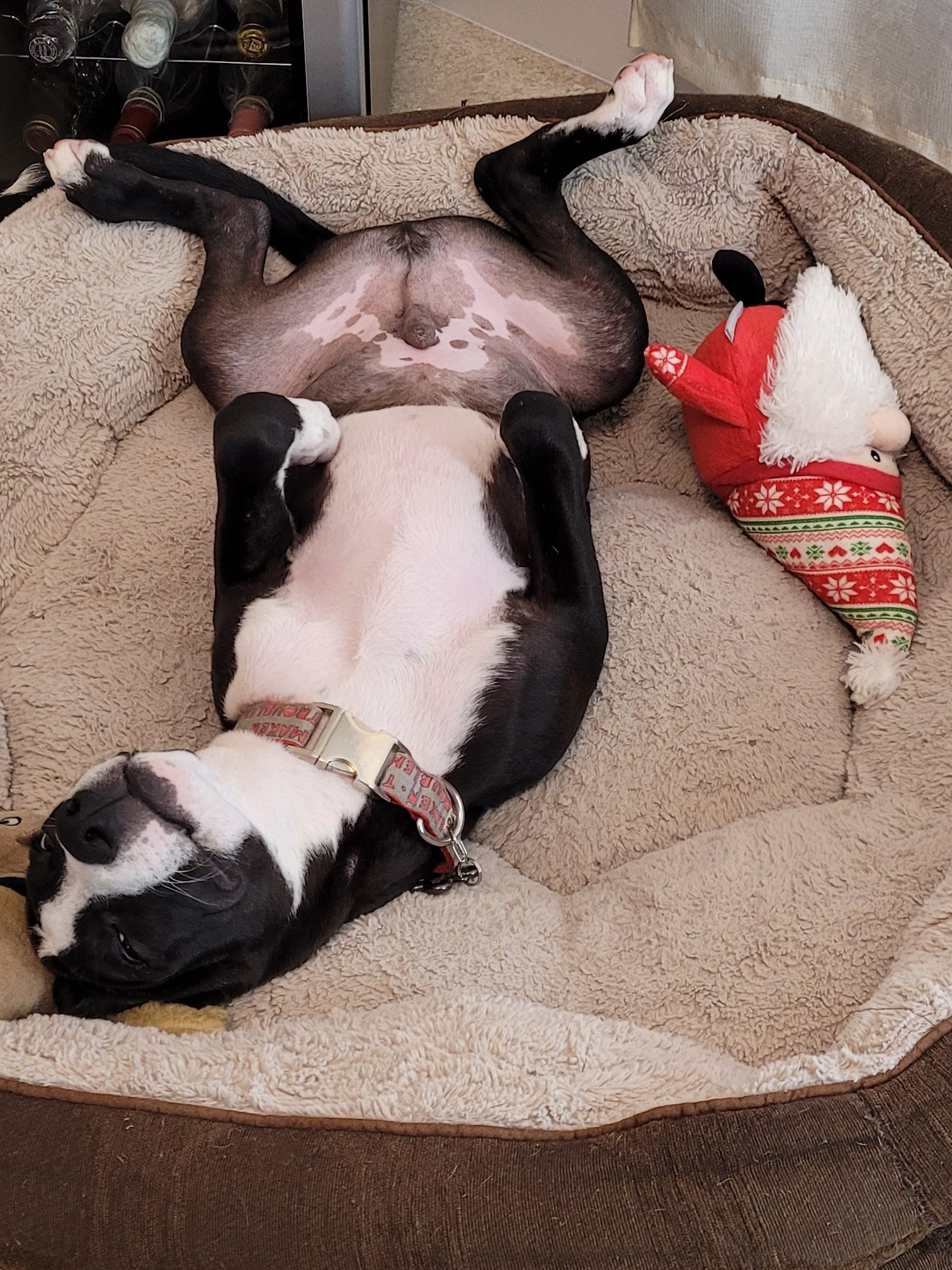 He doesn't sleep on his back anymore