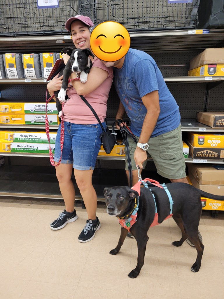 Cookie is shocked she's getting a little brother. Again.