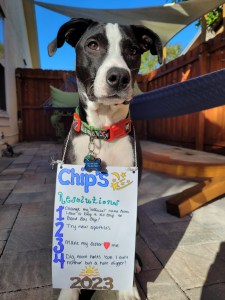 Chip posing with his 2023 resolutions last year.