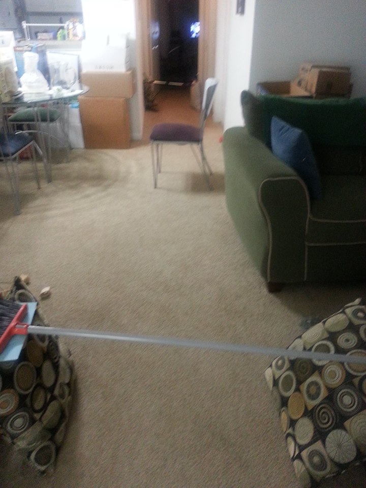Our makeshift agility course in our apartment.