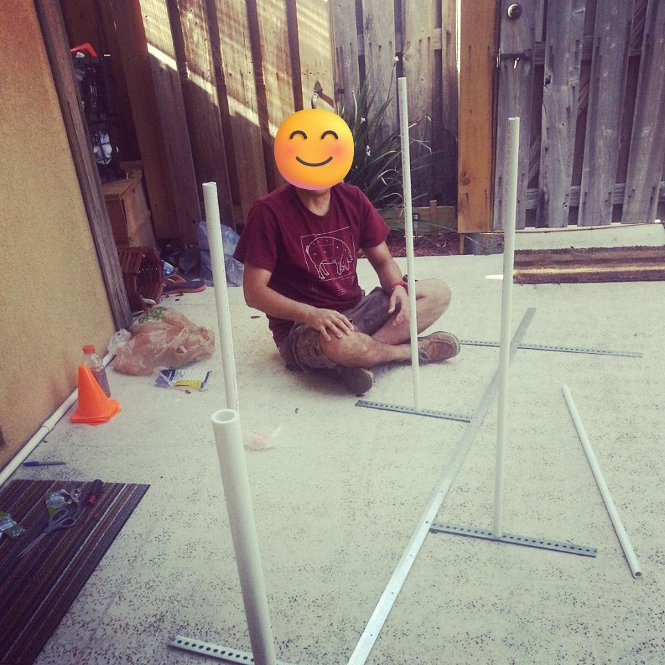 My husband building Cookie a set of weave poles.